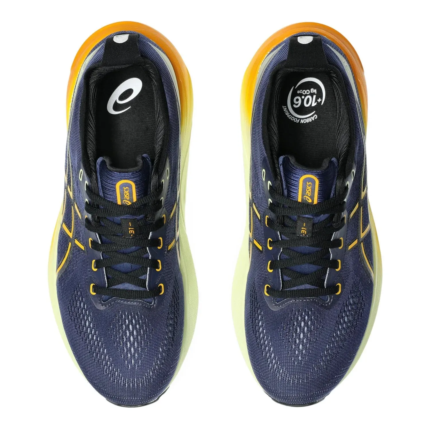 Chaussures de course sur route ASICS Gel-Kayano 31 pour homme