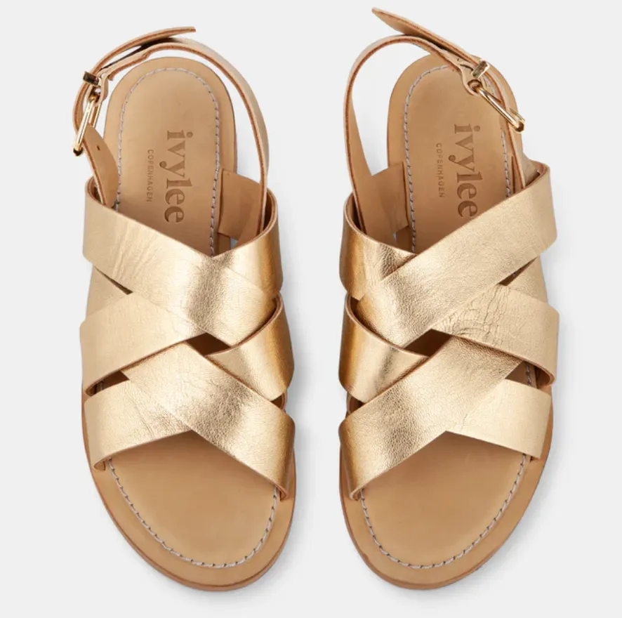 Chaussures en Or Ivylee Josh_Ivy-Lee