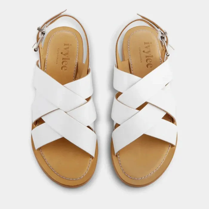 Ivylee Josh Brevet Chaussures Blanches_Ivy-Lee