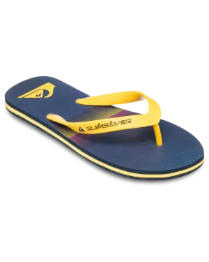 Tongues Molokai Stripe 25 en Estate Blue Connect