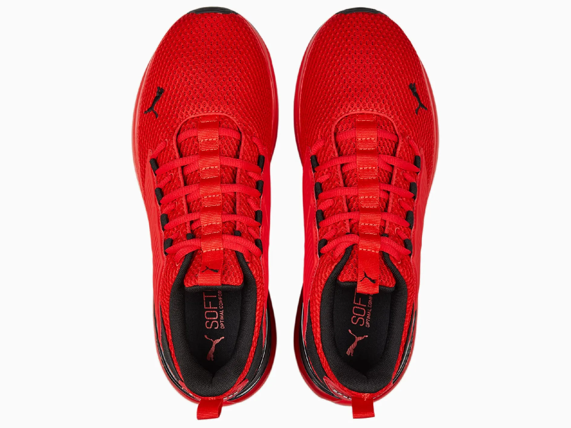 Puma Cell Rapid Homme